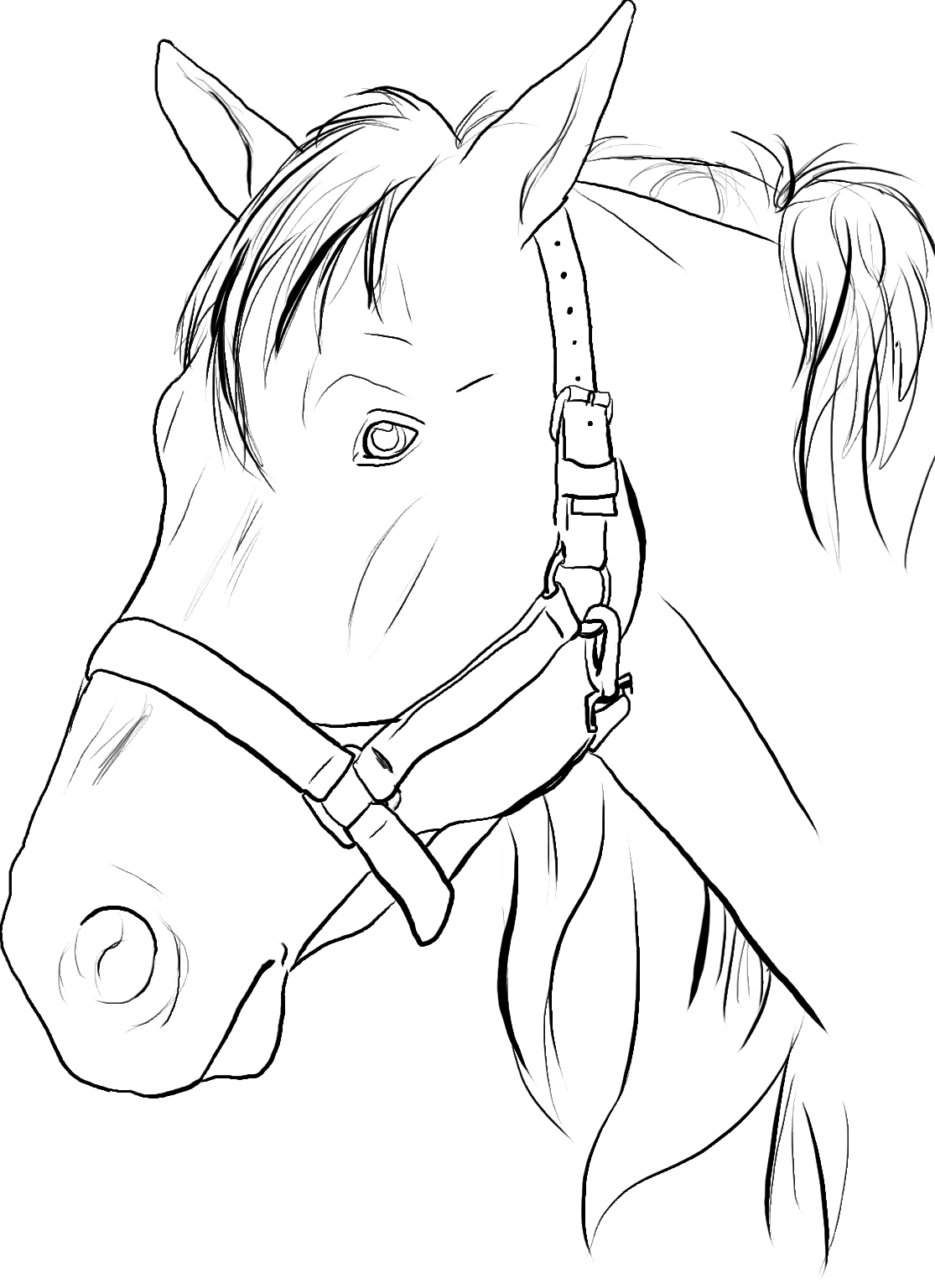 printable horse coloring sheets printable horse coloring sheets