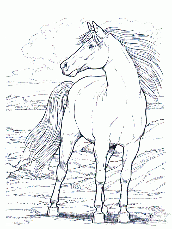 female horse coloring pages