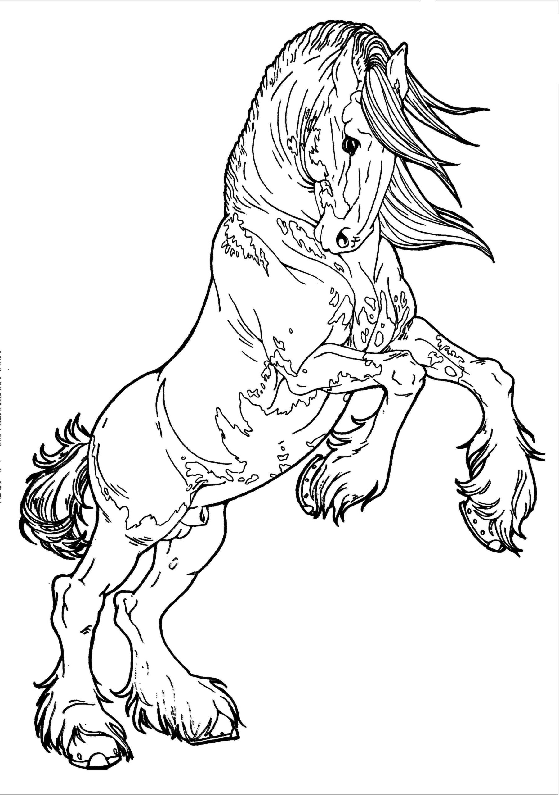 horse coloring page printable free