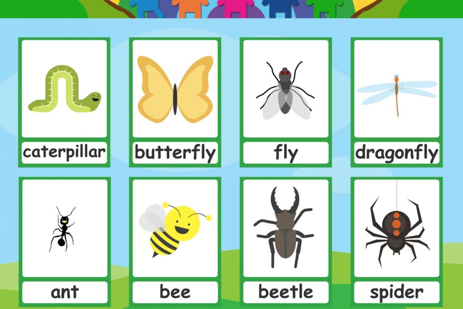 Free Printable Insect Flashcards Free Templates Printable