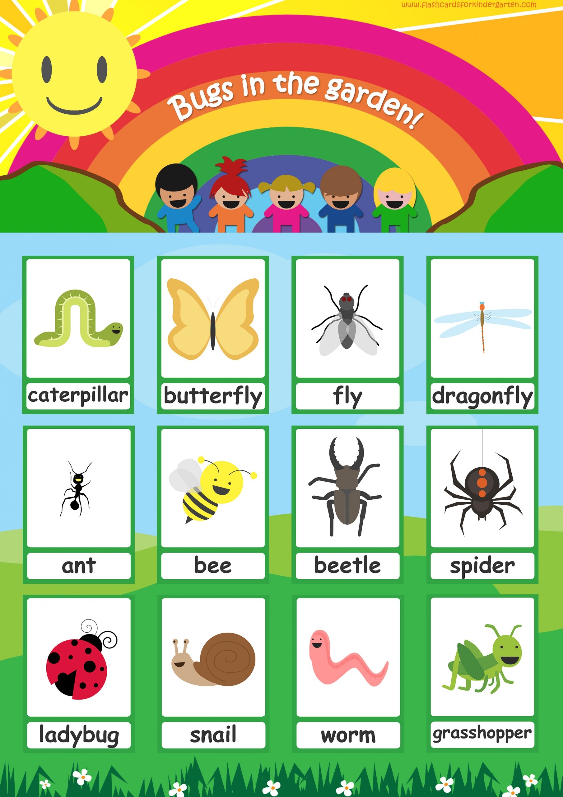 Free Printable Insect Flashcards Free Templates Printable