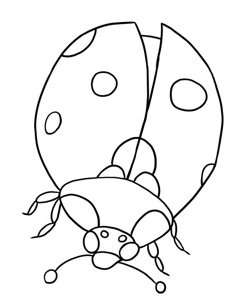 ladybug coloring pages free