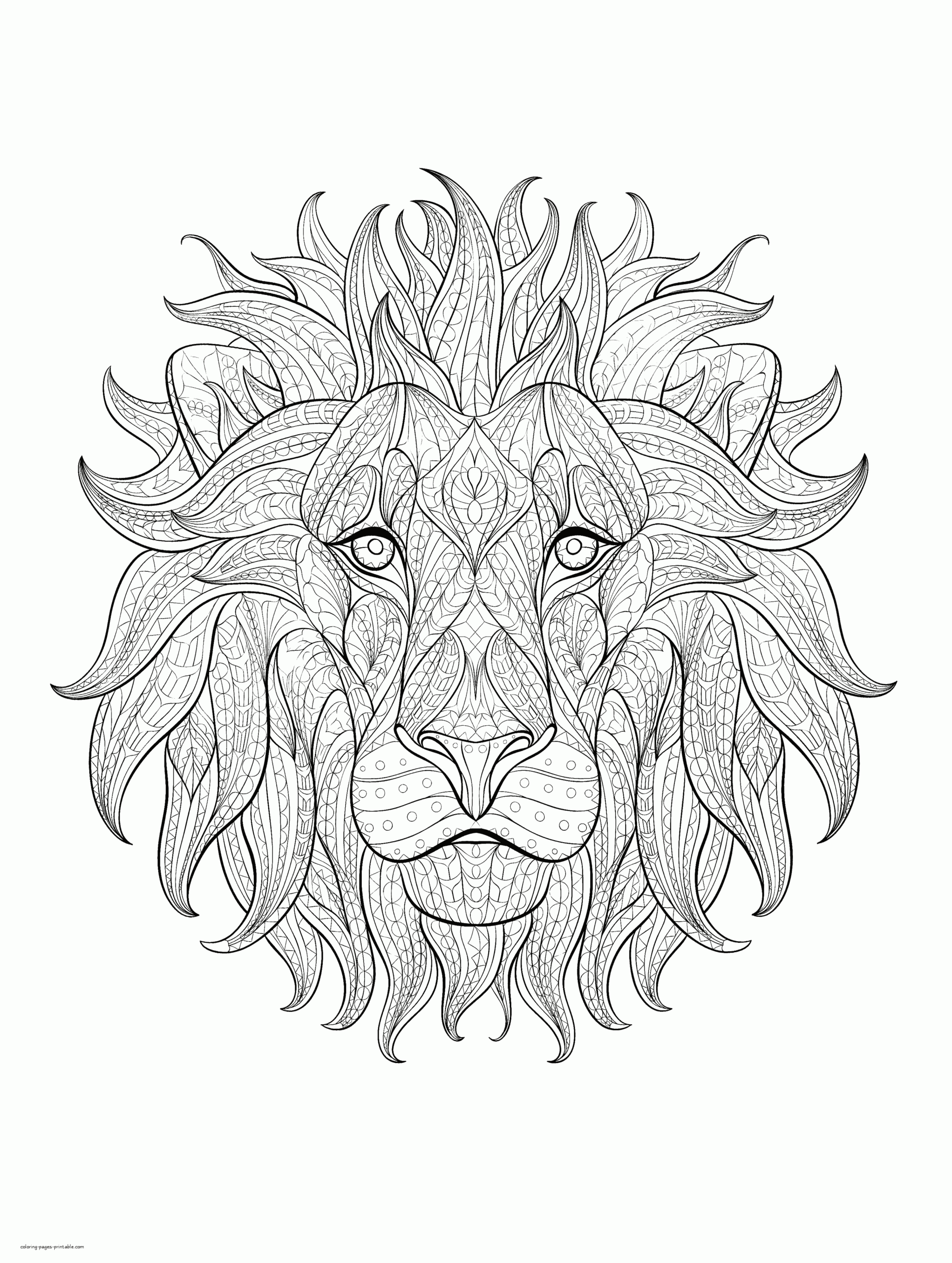 Free Printable Lion Coloring Pages Coloring Pages
