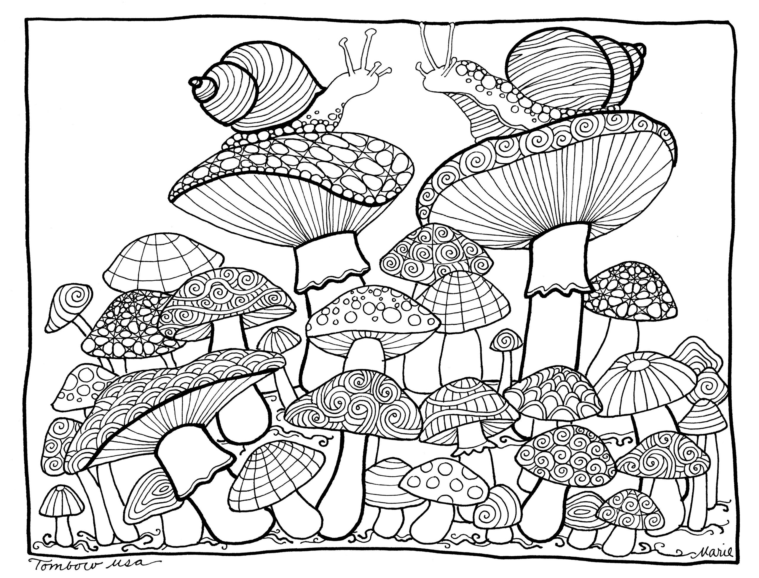 coloring sheets printable mushroom coloring sheets printable mushroom