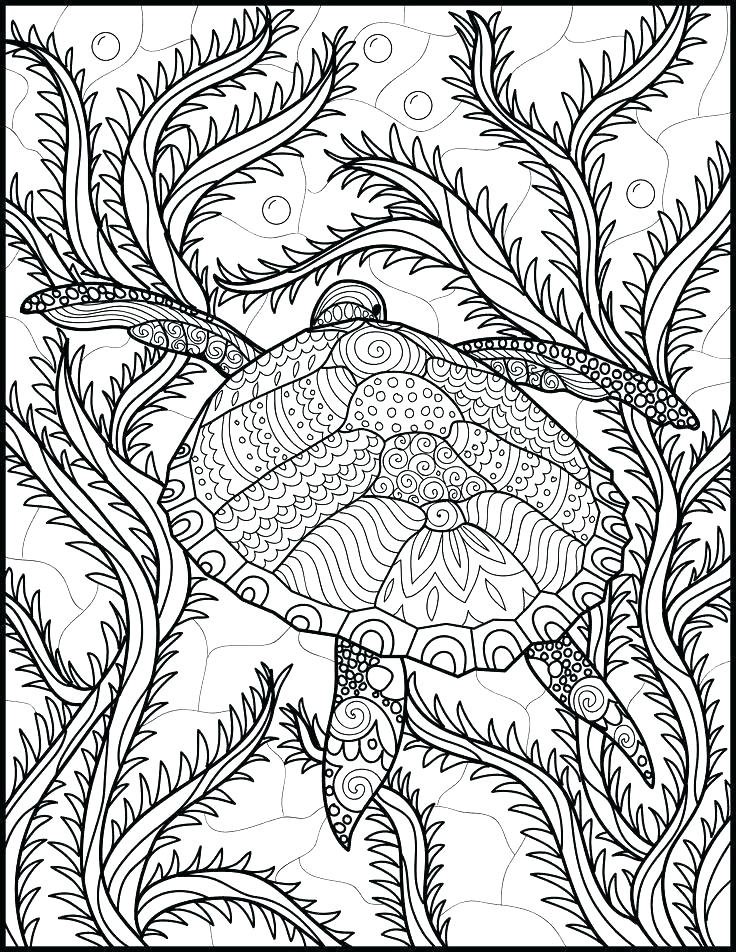 free printable ocean coloring sheets