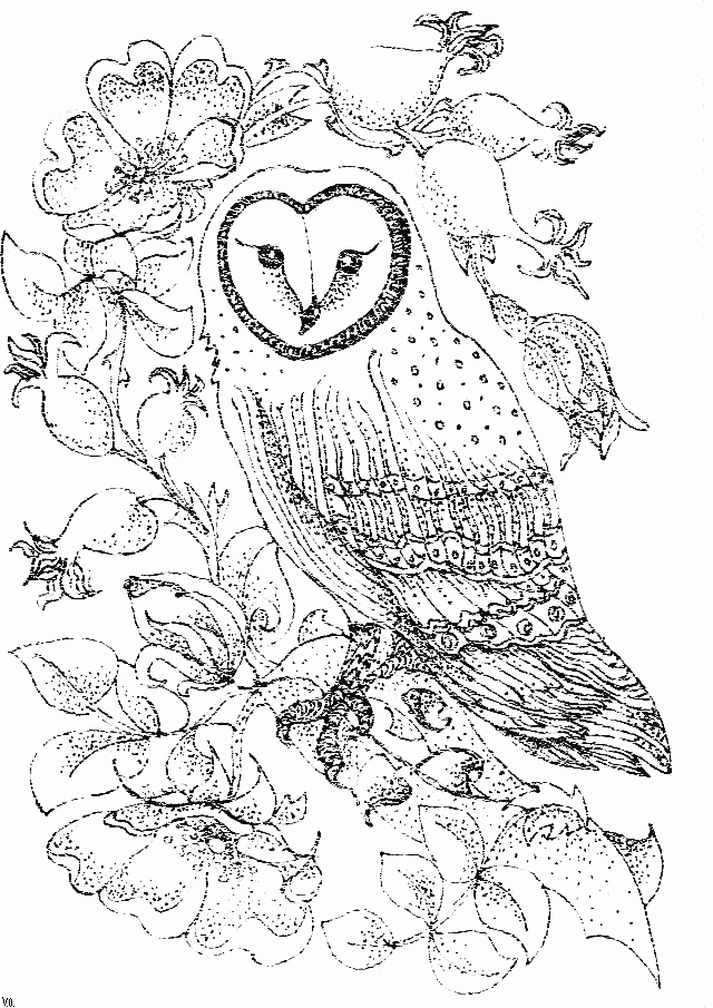 Free Printable Owl Coloring Pages