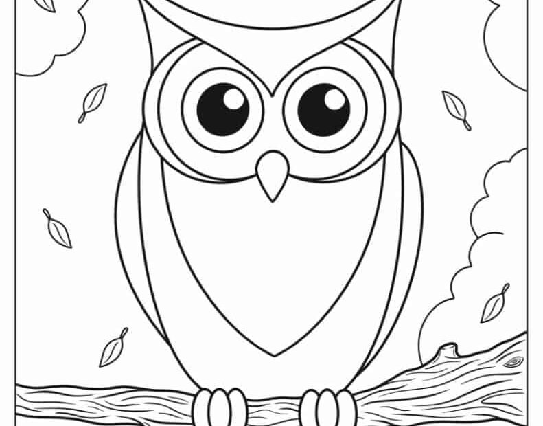 Free Printable Owl Colouring Pictures Download Free Printable Owl