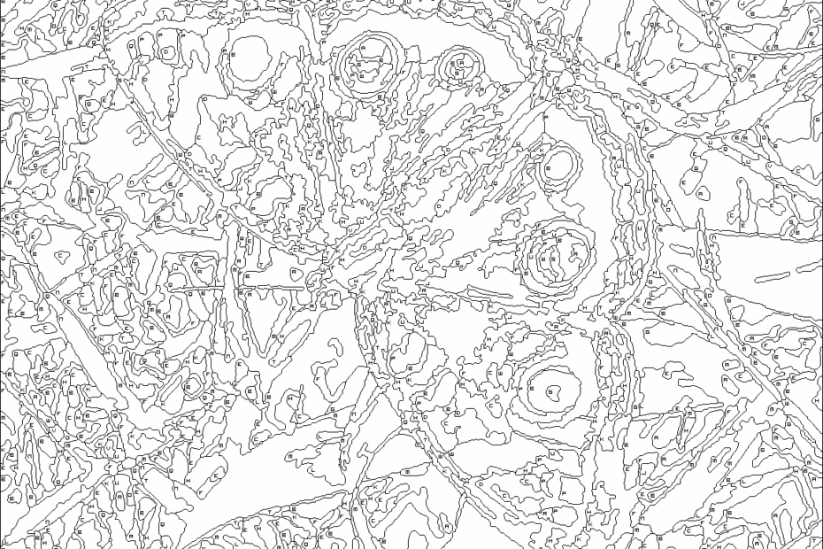 Free Printable Paint By Number Coloring Pages Free Printable A To Z