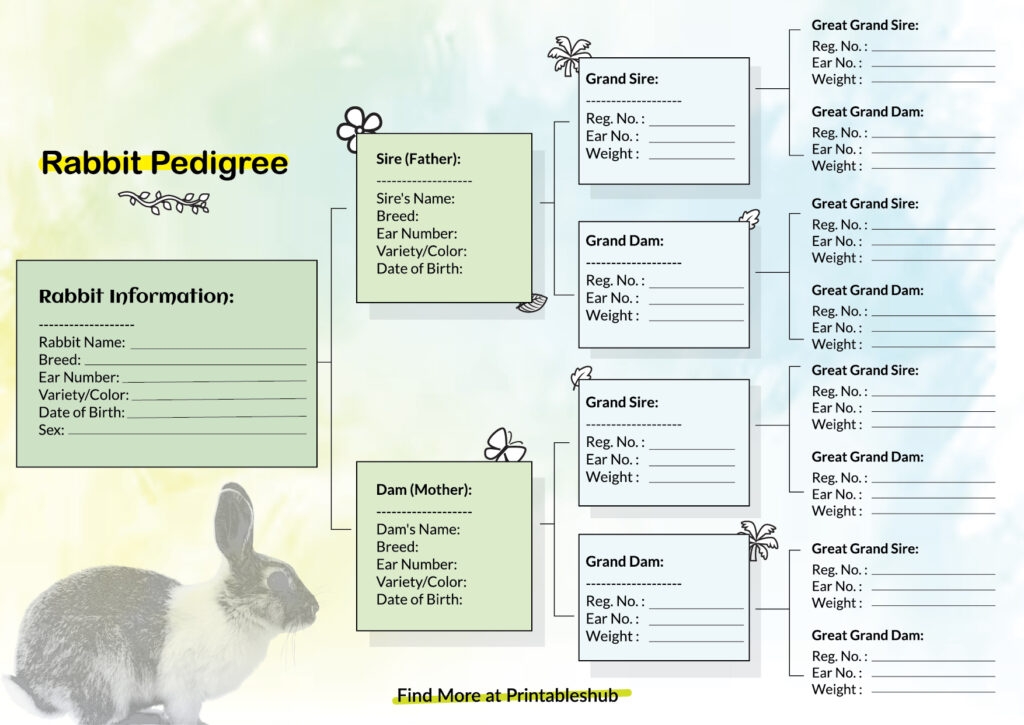 Free Printable Rabbit Pedigree Chart PDF Included Printables Hub