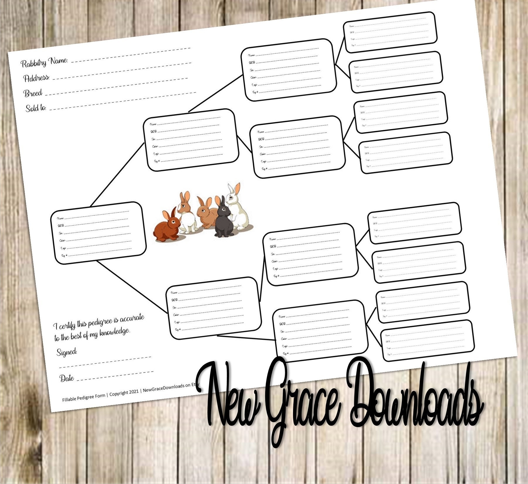 free printable rabbit drawings