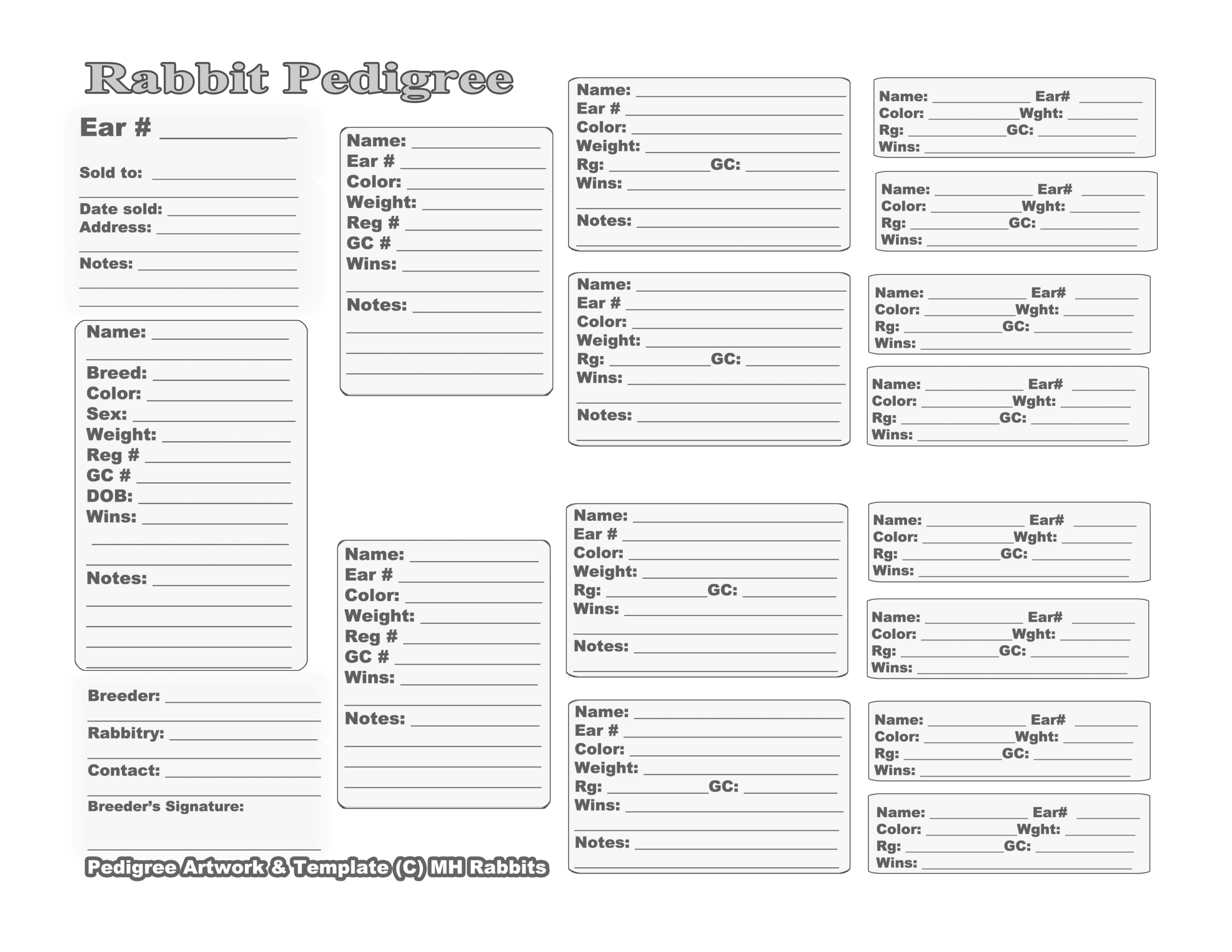 Free Printable Rabbit Template Best Templates Resources