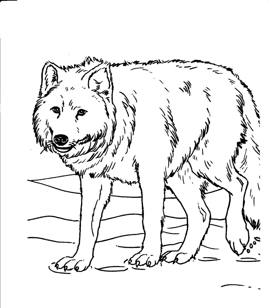 free printable realistic coloring pages