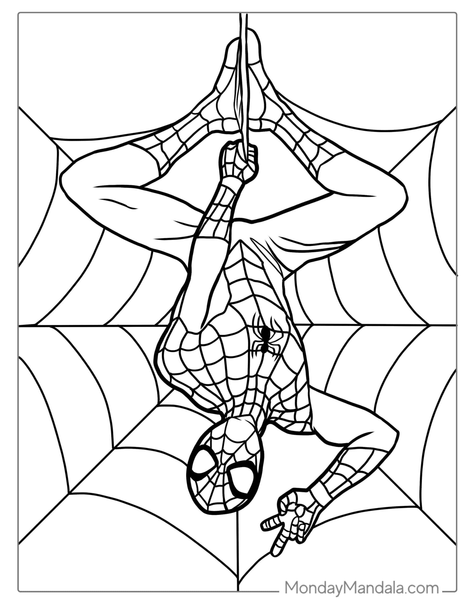 Free Printable Spiderman Coloring Sheets Handy Printable Materials