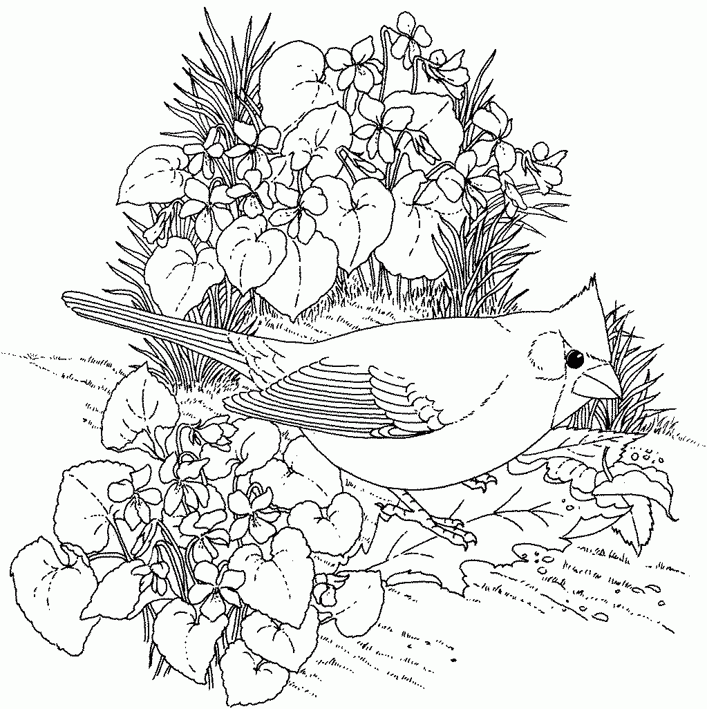 Free Printable Spring Flowers Coloring Pages Coloring Home Free Printable Spring Flowers Coloring Pages Coloring Home