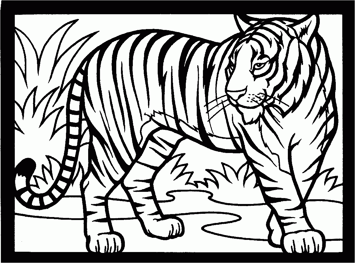 Tiger Coloring Pages