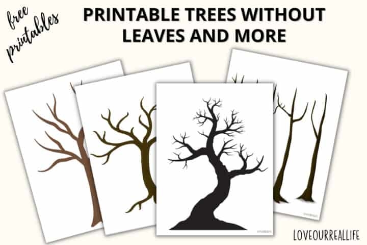 FREE Printable Trees Without Leaves Template 19 Pages Love Our Real 