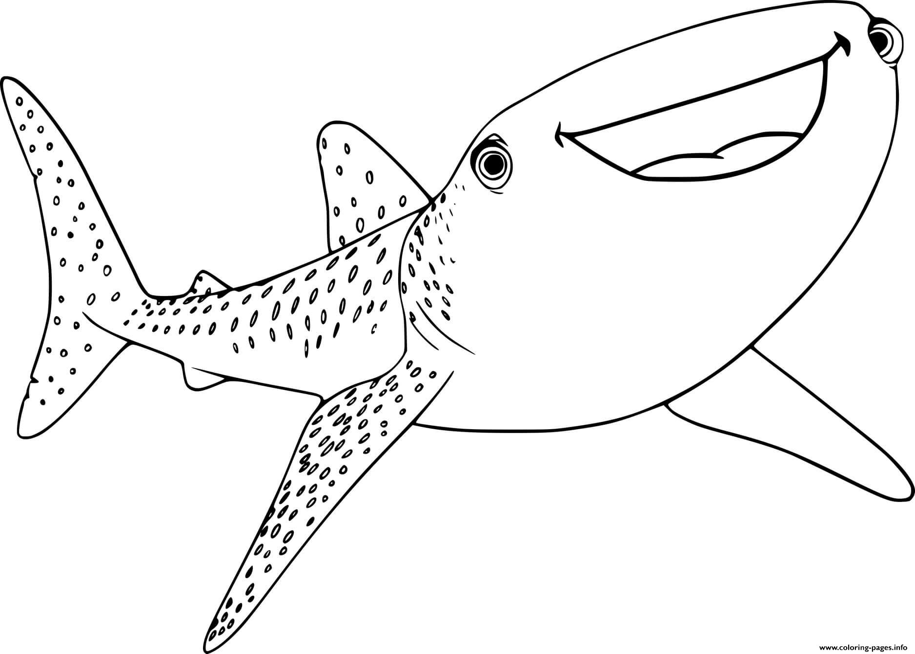 Free Printable Whale Shark Coloring Pages Free Coloring Sheet 