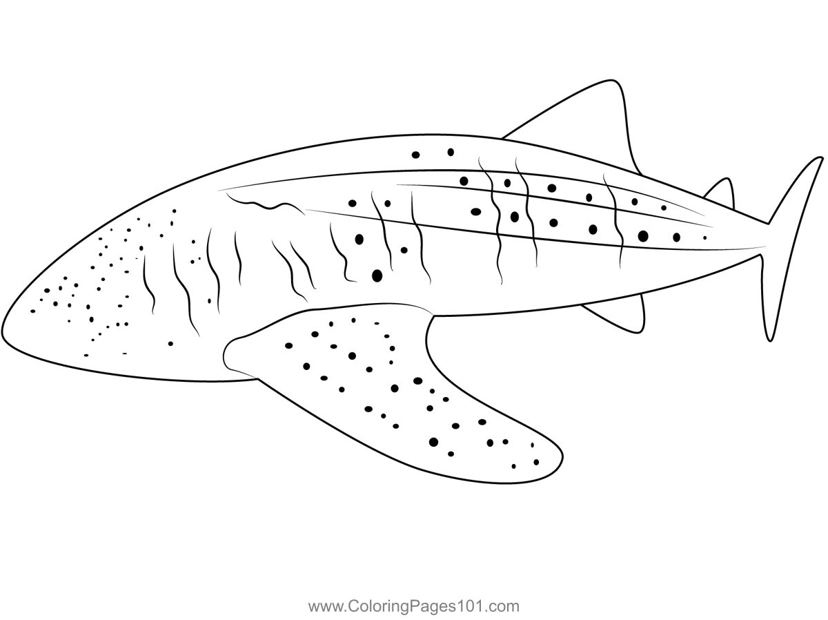 Free Printable Whale Shark Coloring Pages Free Coloring Sheet 