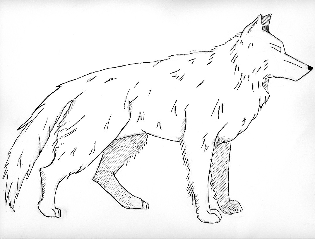wolf coloring pages to print