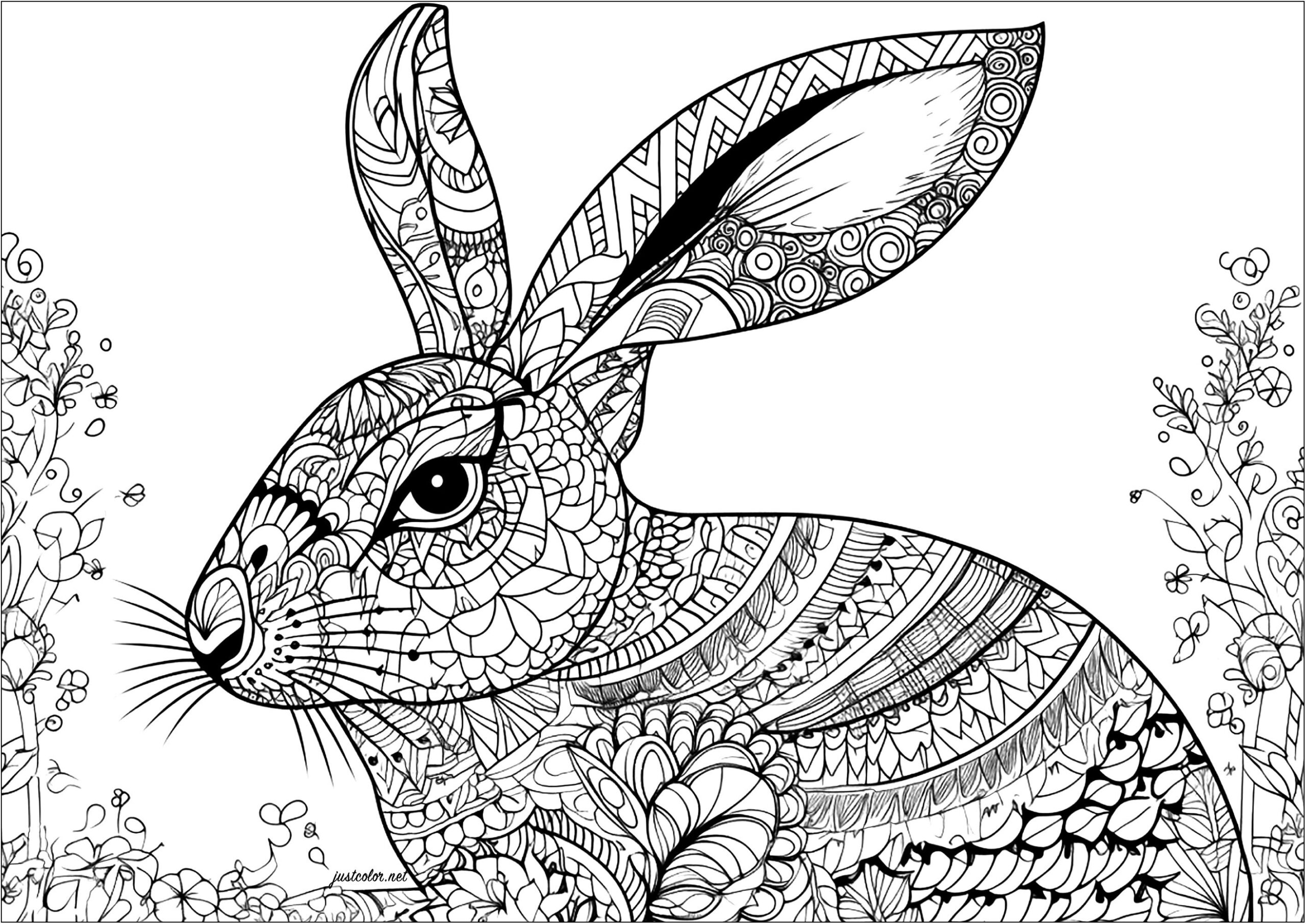 free rabbit coloring pages printable