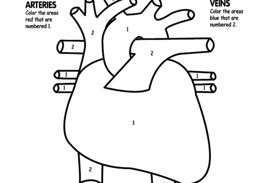 Free Real Heart Coloring Pages Download Free Real Heart Coloring Pages