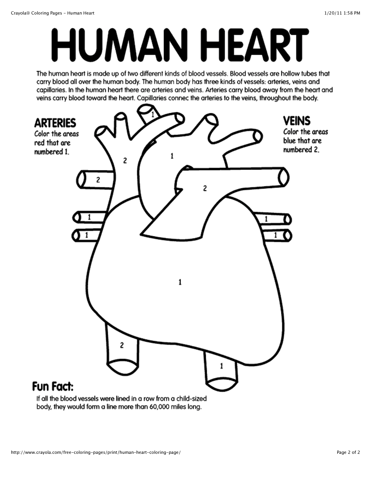 Free Real Heart Coloring Pages Download Free Real Heart Coloring Pages 