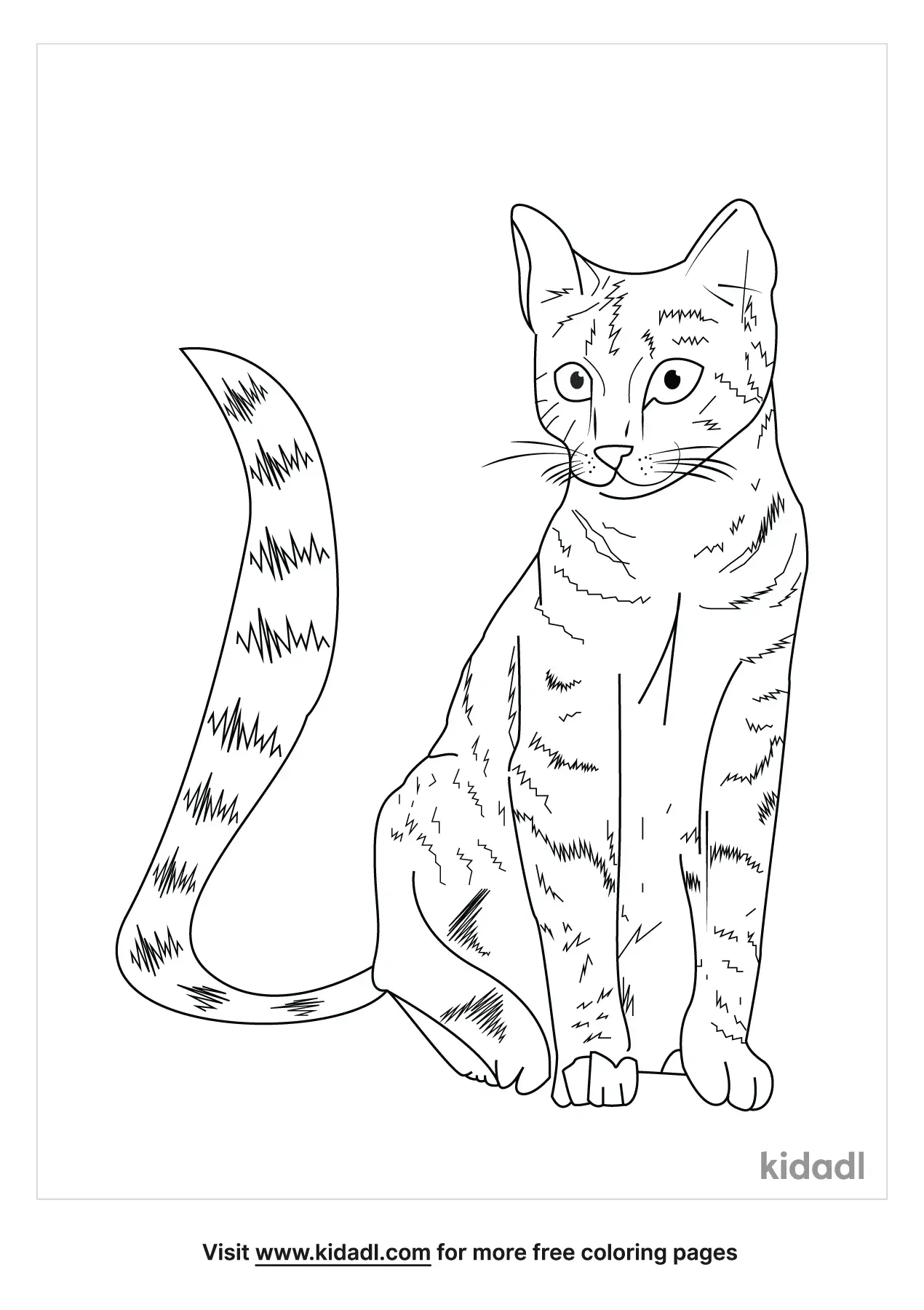 cat coloring pages realistic