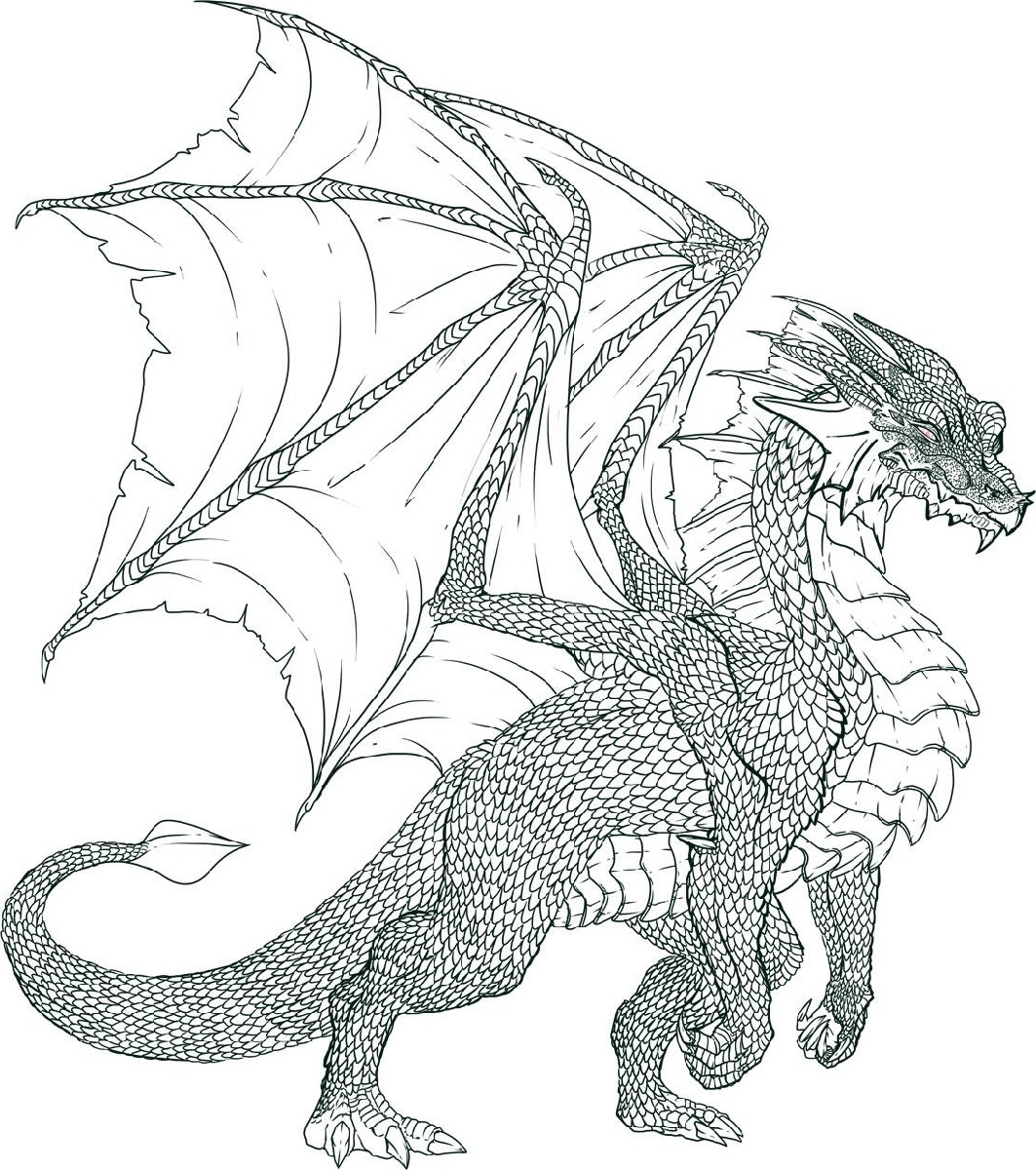 realistic dragon coloring pages free