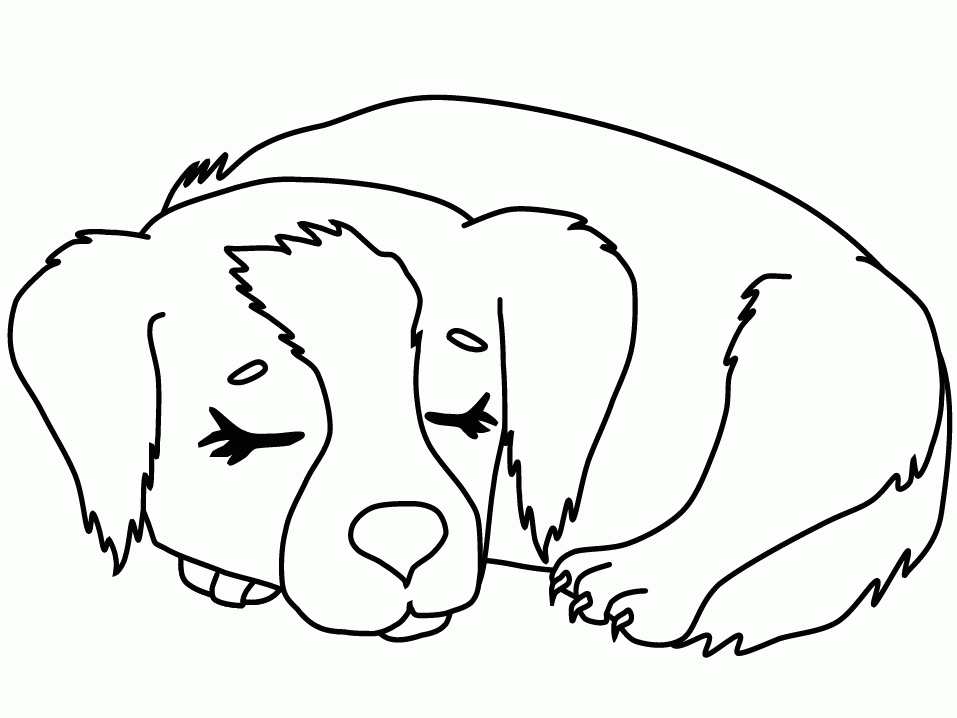 Free Realistic Puppy Coloring Pages Download Free Realistic Puppy 