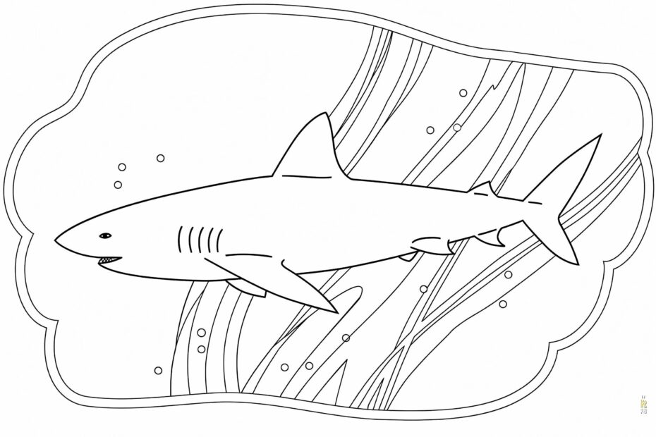 Free Shark Coloring Page