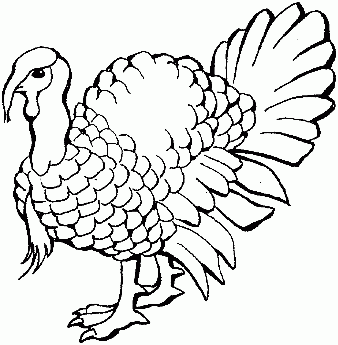 Free Turkey Coloring Pages Free Turkey Coloring Pages