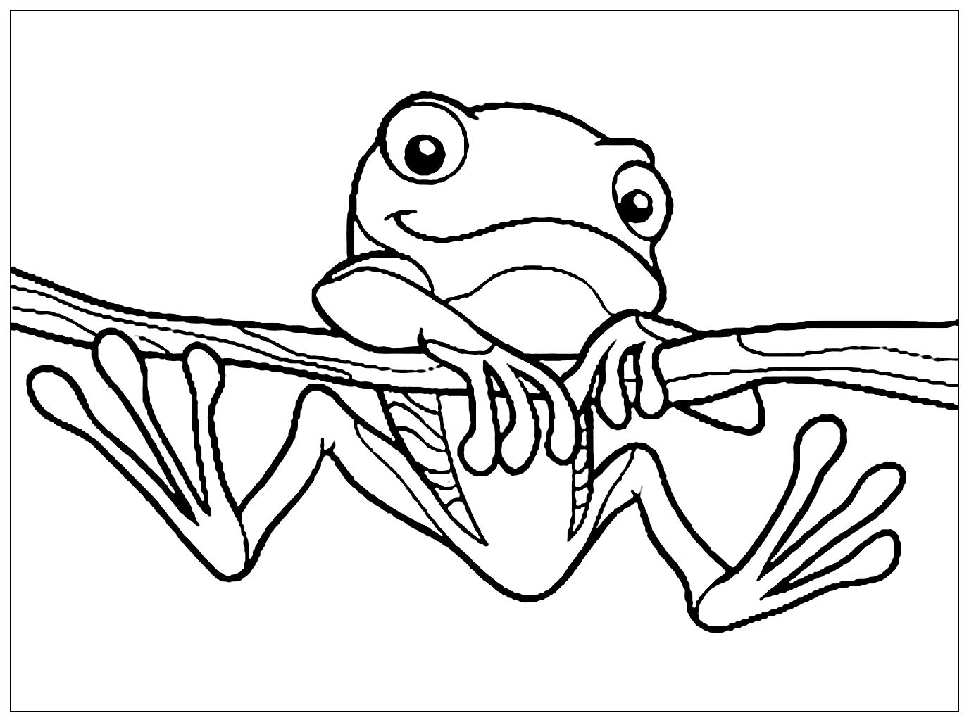 free printable frog coloring sheets