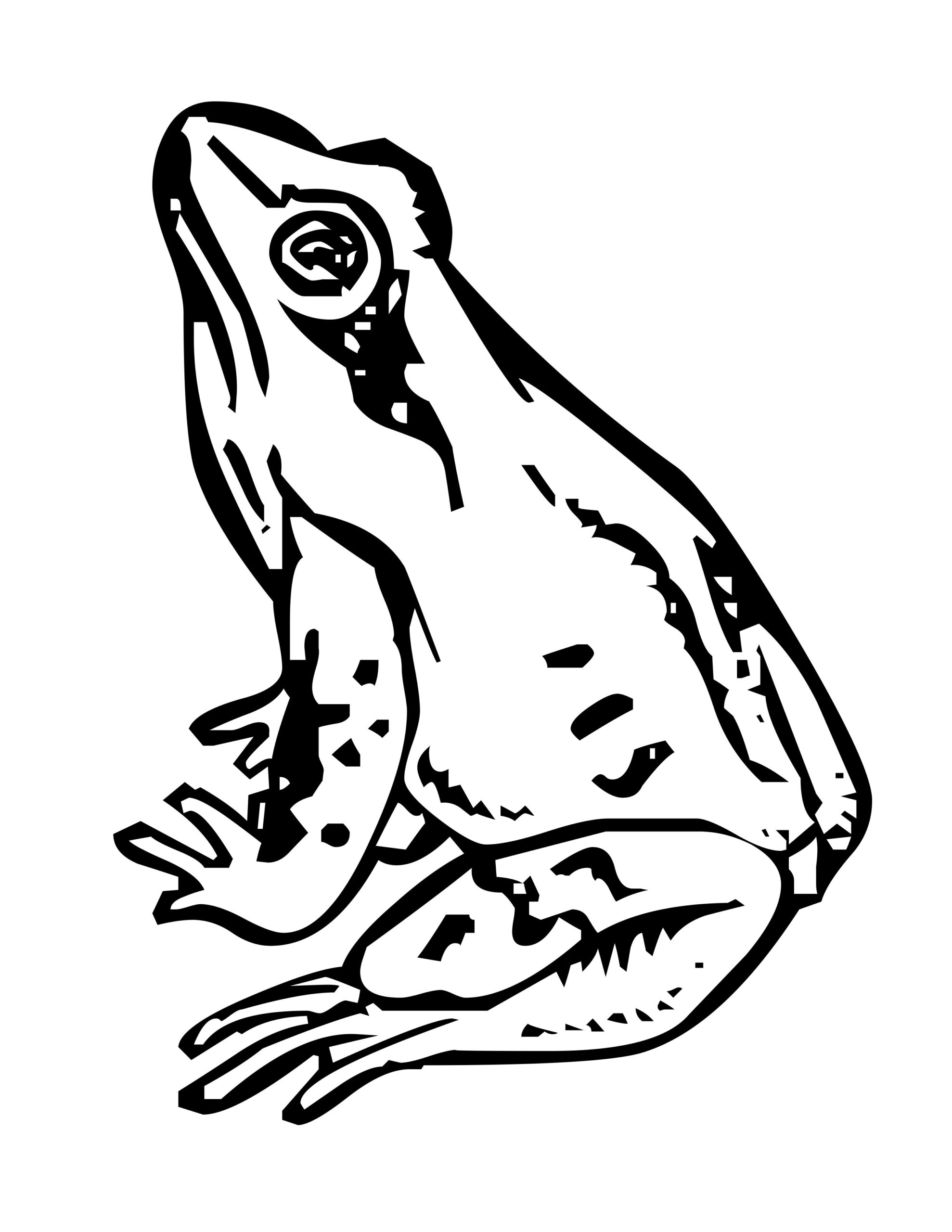 Frog Coloring Pages Free Printable Celebrate The Festive Season With Frog Coloring Pages Free Printable Celebrate The Festive Season With
