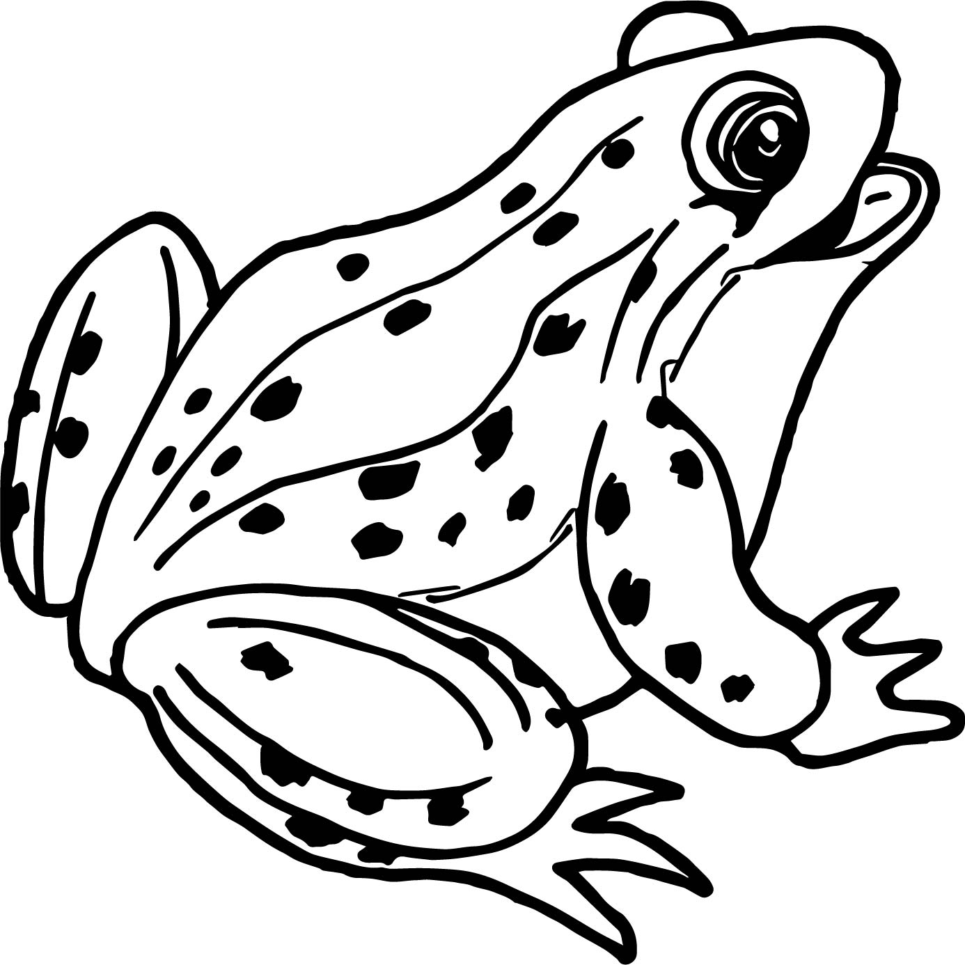 Frog Coloring Pages Learny Kids Frog Coloring Pages Learny Kids
