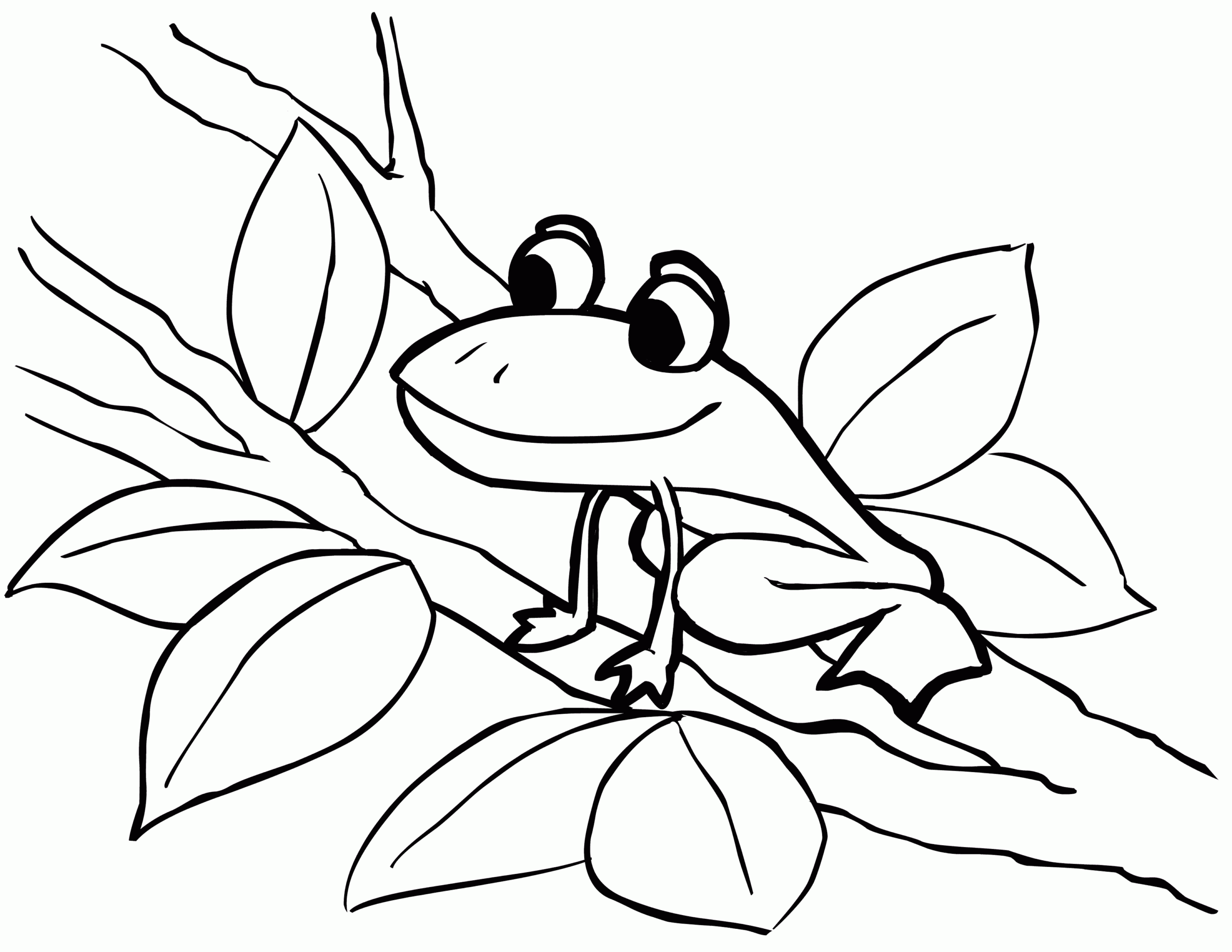 frog coloring pictures printable frog coloring pictures printable