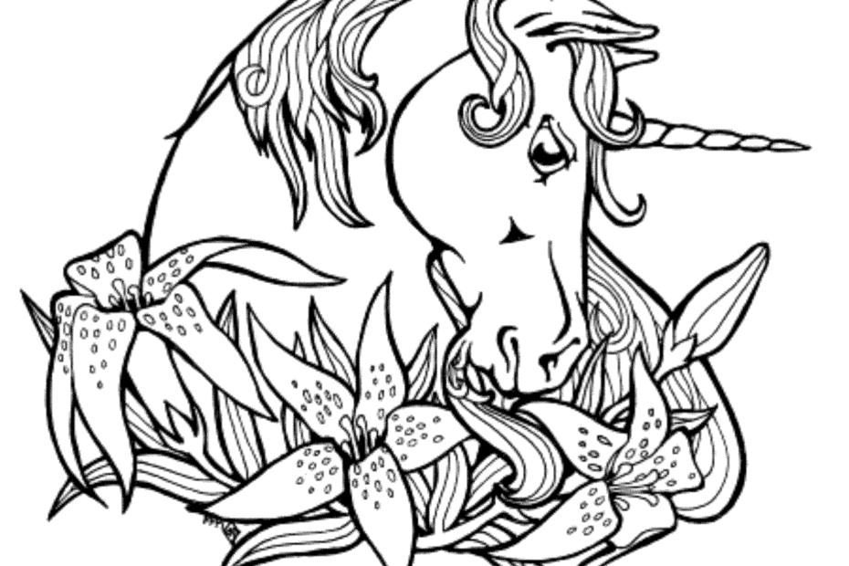 Full Size Printable Coloring Sheets Coloring Pages Printable