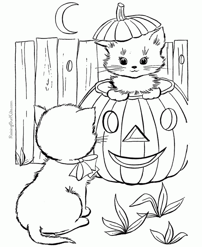 cat coloring page adult