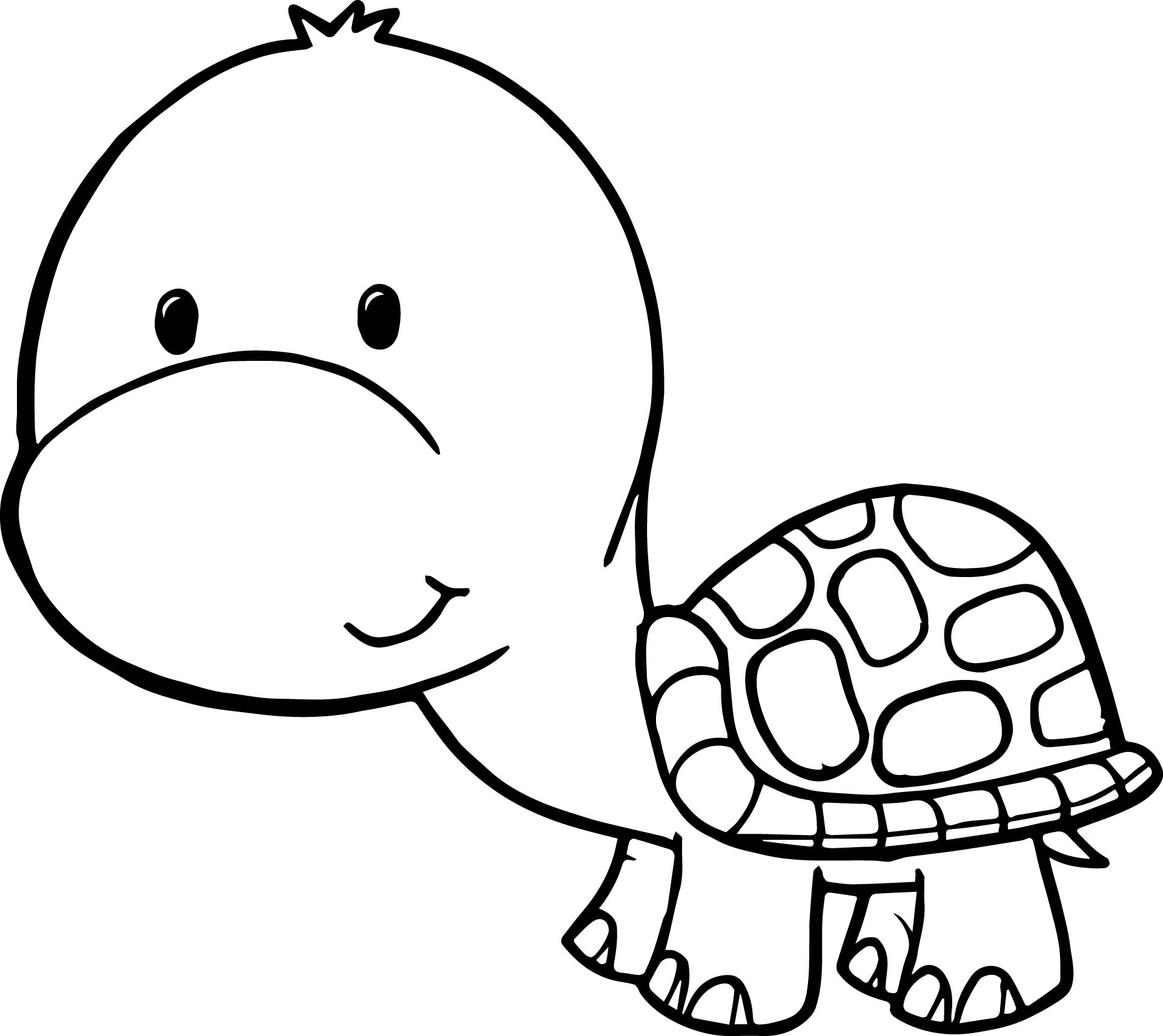 Funny Turtle Coloring Pages At GetColorings Free Printable Funny Turtle Coloring Pages At GetColorings Free Printable