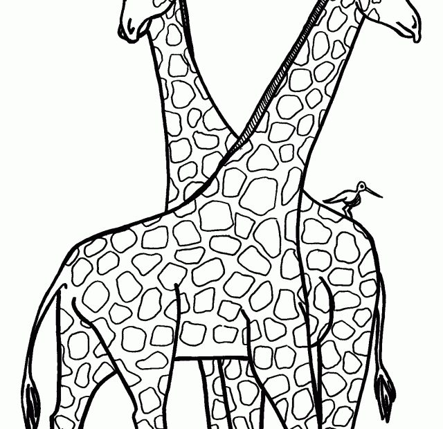 Giraffe Coloring Pages For Kids Coloring Home