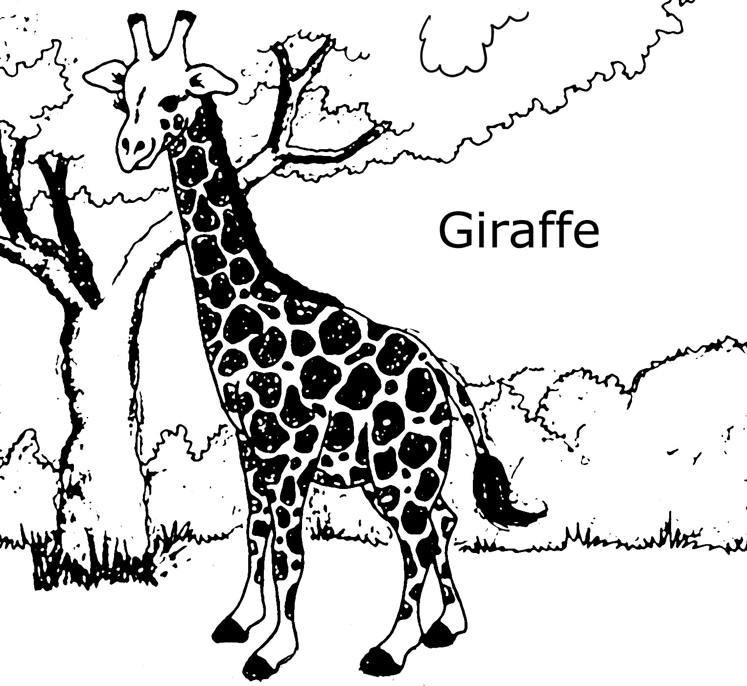free coloring pages of giraffes