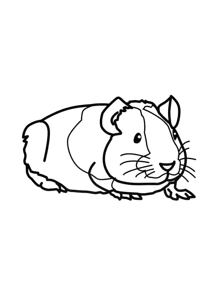 Guinea Pig Coloring Pages