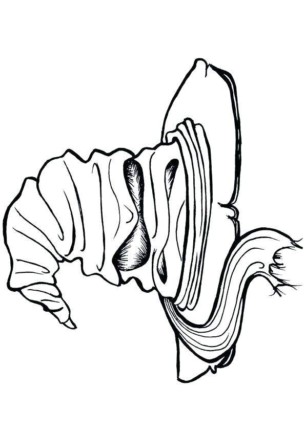 Harry Potter wand coloring pages Harry Potter wand coloring pages