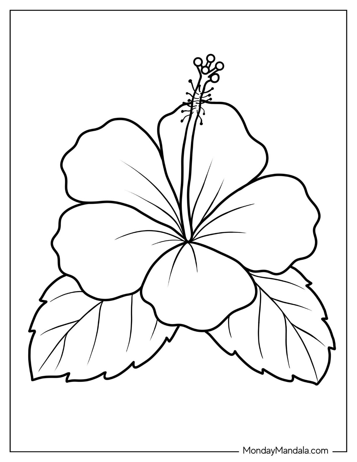 free flower printable coloring pages