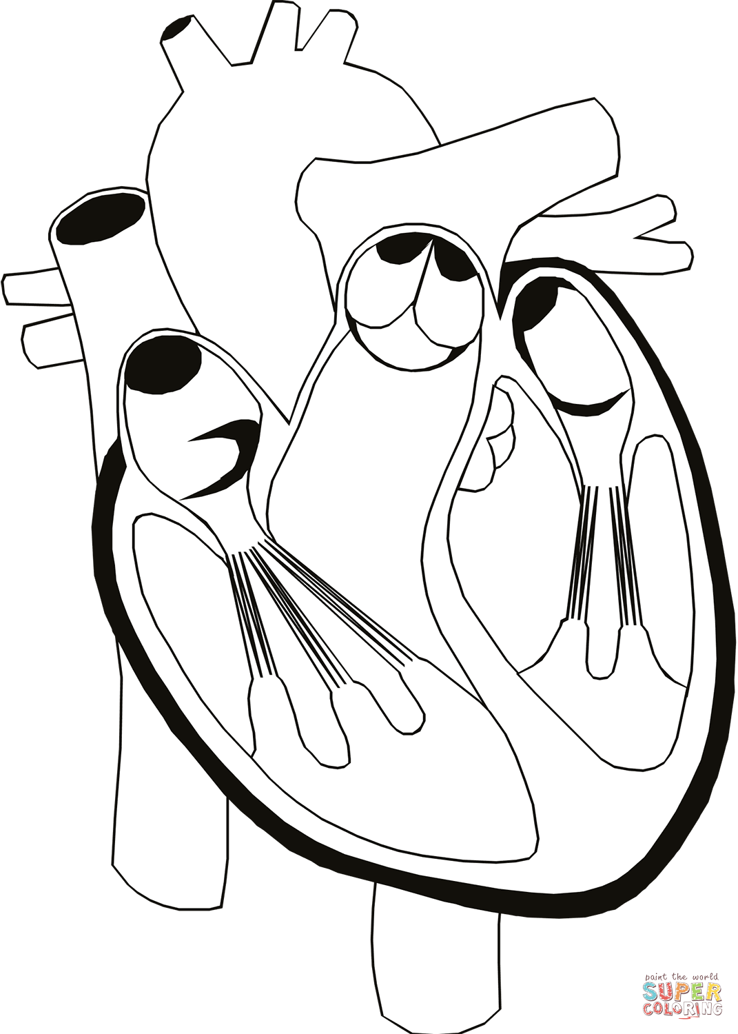 Heart Anatomy Coloring Pages Coloring Home Heart Anatomy Coloring Pages Coloring Home