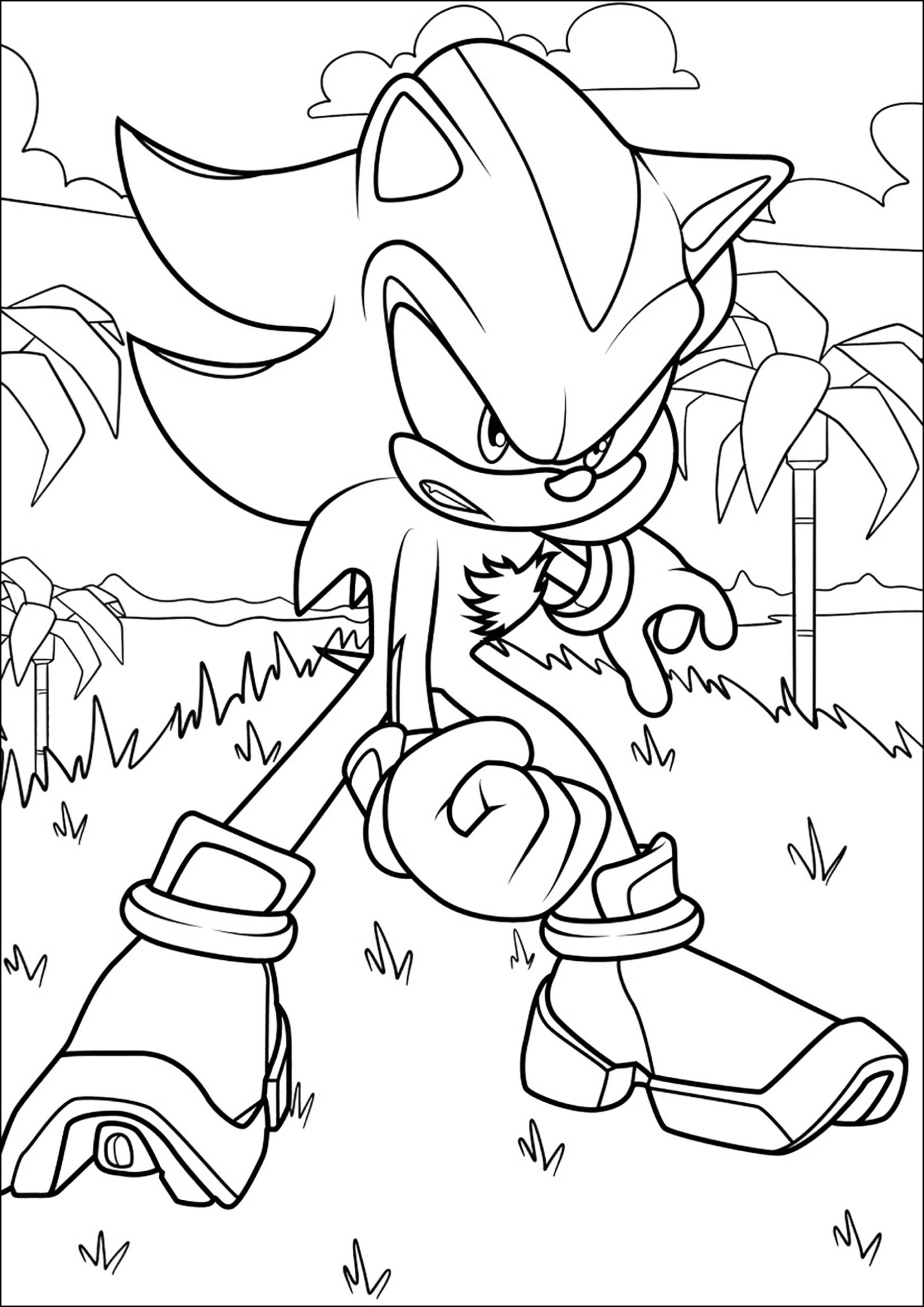 Hedgehog Colouring Page Free