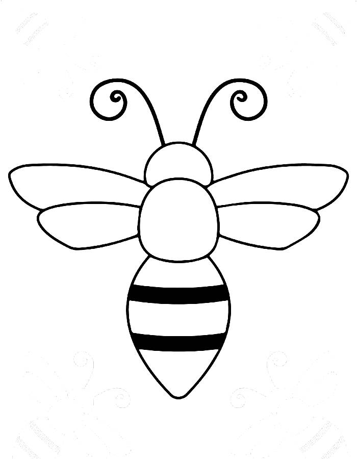 Honey Bee Coloring Pages Free Printable PDF 