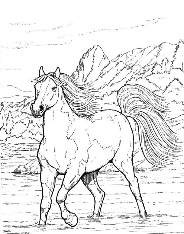 Horse Coloring Pages For Adults Coloring Horse Pages Adults Zentangle 