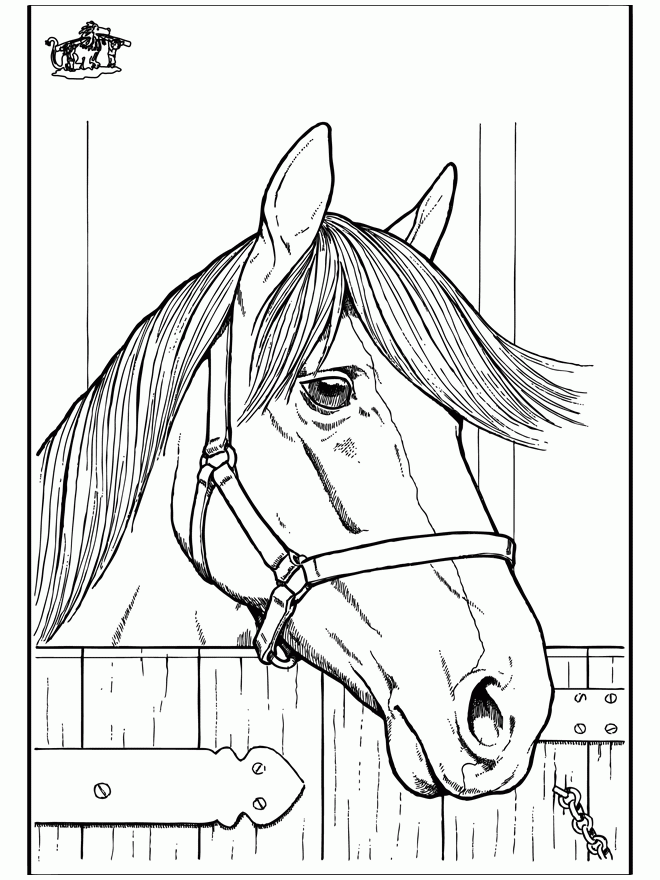 Horse Head Coloring Pages Coloring Home Horse Head Coloring Pages Coloring Home