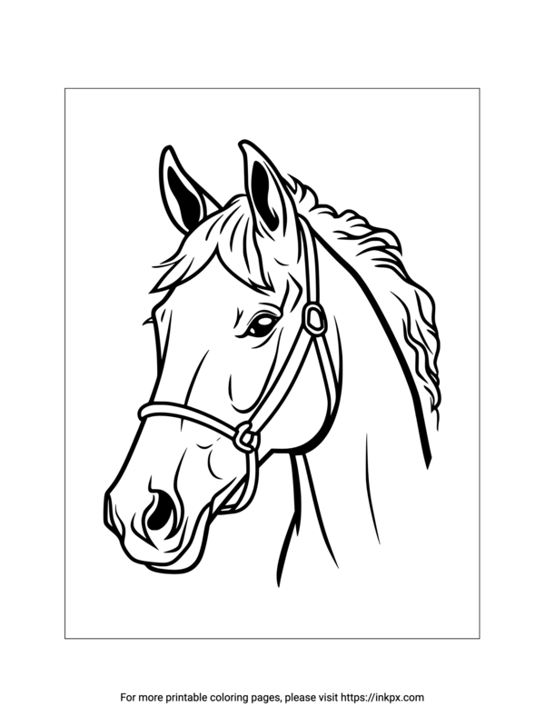 Horse Head Coloring Pages Printable Free Pdf Infoupdate Horse Head Coloring Pages Printable Free Pdf Infoupdate
