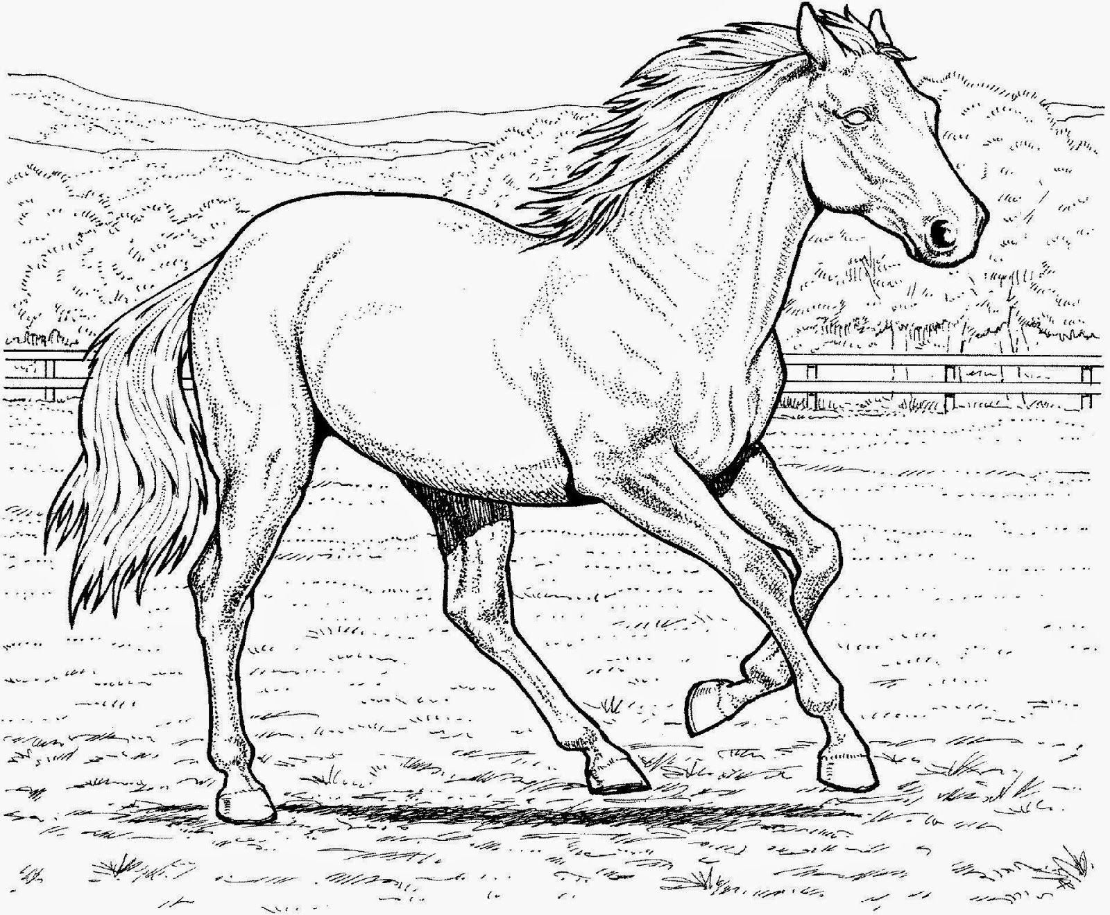 free horses coloring pages